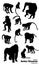 Twelve Vector Monkey silhouettes collection