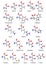 The twenty basic amino acids. Illustration