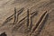 Twenty first century sign in sand
