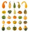 Twenty-five different ornamental pumpkins