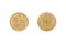 Twenty Moroccan santimat coin
