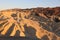 Twenty Mule Canyon from Zabriskie Point. Death Valley