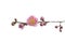 Twig of blooming plum tree with pink flowers