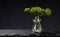 A twig of dill in little glass bowl on dark shale plate on black background