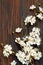 Twigs of blooming cherry on a brown wooden background. Place for text, copy space. Spring blooming branches, flat lay. Spring