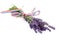 Twigs lavender with ribbon