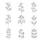 Twigs and leaves. Isolated plants for design. Set of  vector illustrations on a white background.