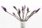 On the twigs magnolia purple in a vase