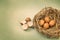 Twigs nest with brown chicken eggs with broken and empty shell e