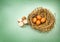 Twigs nest with brown chicken eggs with broken and empty shell e