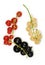 Twigs of red, white and black currant isolated