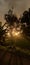 Twilight atmosphere beside the road with trees and rice fields