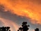 Twilight and cloud photo with the palms in the Samroi yod, Thailand Decemebr 30, 2018