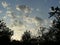 Twilight Clouds in the Gardens