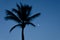 Twilight with the full moon and palm tree silhouette