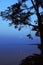 Twilight on lake Seliger with coastal moonlight and a pine