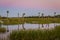 Twilight Over a Florida Wetland