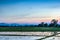 Twilight sky on the rice field