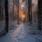 Twilight in a Snowy Forest