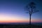 Twilight Tree Silhouette