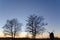 Twilight view with trees and a windmill