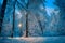 Twilight in the winter forest covered with snow a bright yellow lantern illuminates the road in the forest