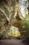 Twin Arches in the Big South Fork National Park