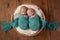 Twin Baby Boys Sleeping in a Basket