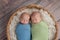 Twin Baby Boys Sleeping in a Basket