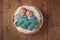 Twin Baby Boys Sleeping in a Basket