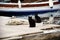 Twin black cats on a pier