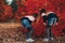 Twin blondes walk and have fun in the autumn forest among the red trees.