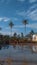 twin coconut trees, coconut trees, beautifull sky, farming fields