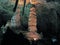 Twin Domes & Giant Dome of Carlsbad Caverns