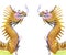 Twin golden dragon use as chinese background