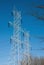 Twin Power Line Towers Framed by Branches