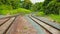 Twin railroad through the green forest.