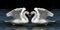 Twin Swans facing to create heart shape