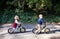 Twin toddler sibling boy and girl in autumn forest, riding balance bike.