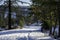 On the Twin Tunnels Trail Near Mosier in the Columbia Gorge, Oregon, Taken in Winter