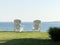 Twin white Adirondack seaside in sunlight