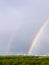 Twinned rainbow over park and buildings in spring