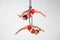 Twins female circus duo on the Aerial hoop  on white