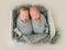 Twins newborn studio portrait