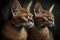 Twins Siblings Abyssinian Cats Black Background. Generative AI