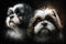 Twins Siblings Shih Tzu Black Background. Generative AI