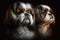 Twins Siblings Shih Tzu Black Background. Generative AI