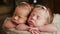 Twins sisters newborn in the winding