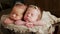 Twins sisters newborn in the winding