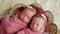 Twins sisters newborn in the winding and in a basket